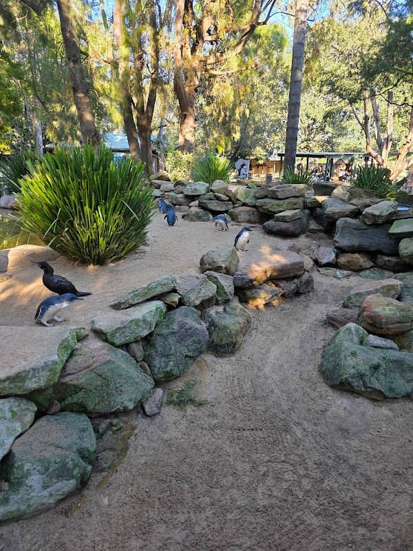 Australian Wildlife Parks - Image 1