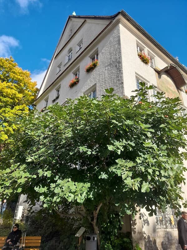Gläbbischer Feigebaum - Image 2