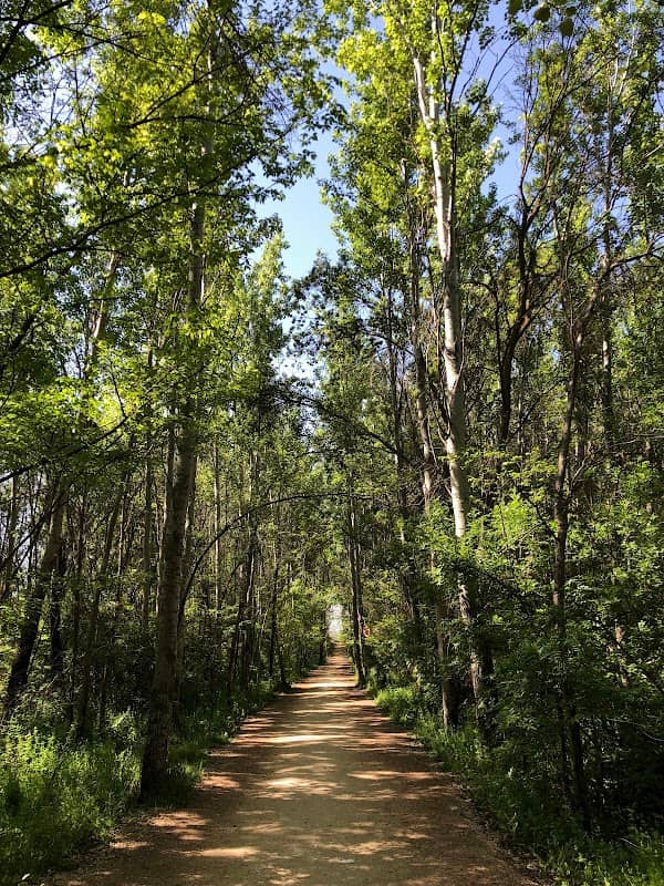 Taanayel Park - Image 1