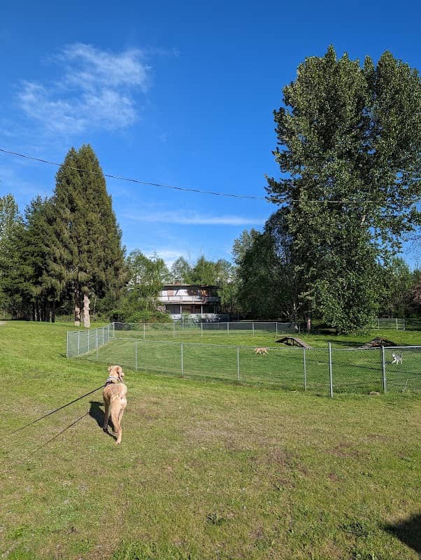 Offleash dog Park - Image 1