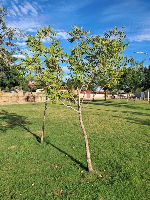 Mesa Heights Park - Image 2