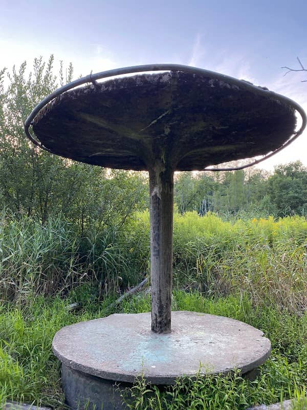 Alter Badepilz - Image 1