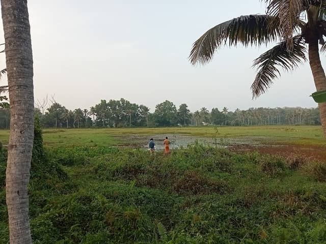 Kaniyamthodu fishing point - Image 1