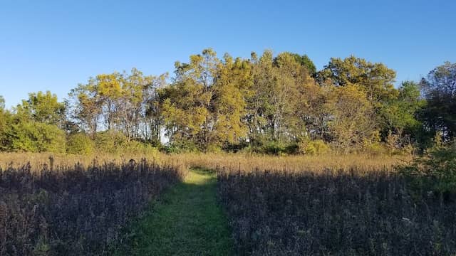 Baker Woods Forest Preserve - Image 2