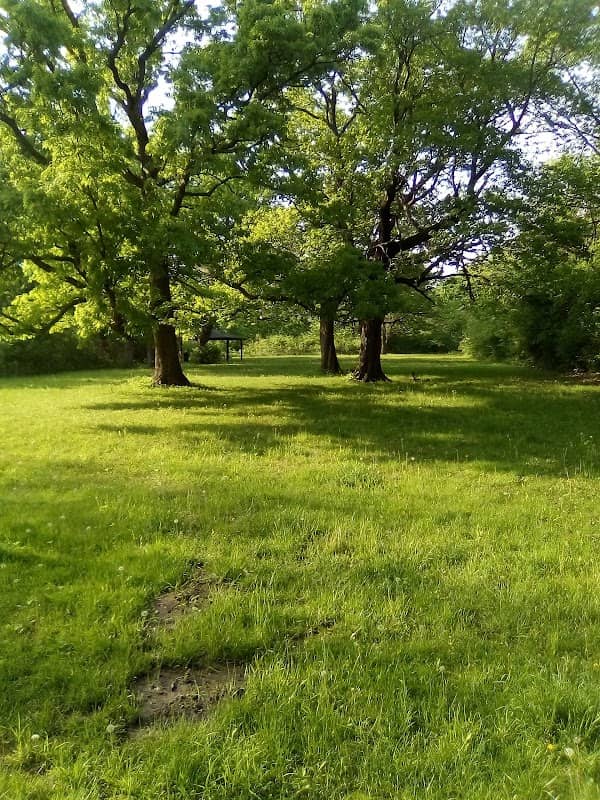 Baker Woods Forest Preserve - Image 1