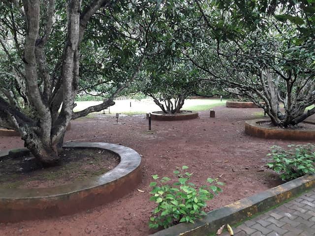 Sadhanakeri Lake & Garden || Dharwad - Image 1