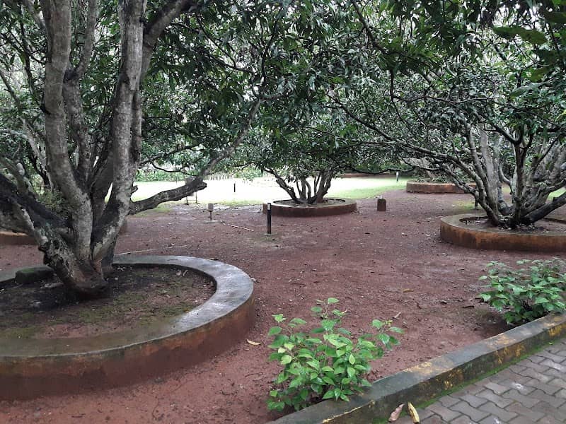 Sadhanakeri Lake & Garden || Dharwad - Image 1