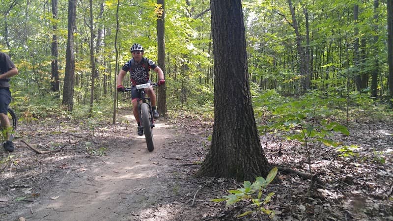 Beulah Park Nature Area - Image 2