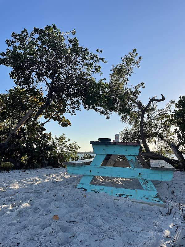 Jackson Island - Image 3
