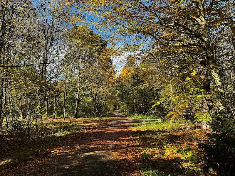 Forstenrieder Park - Image 3