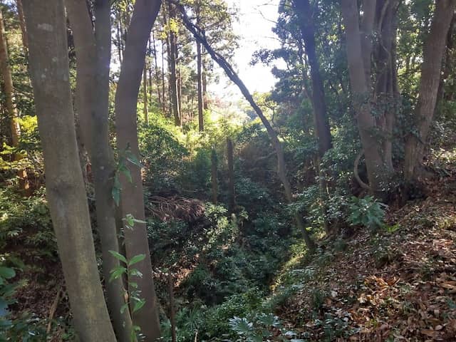 Kiharajoshi Park - Image 1