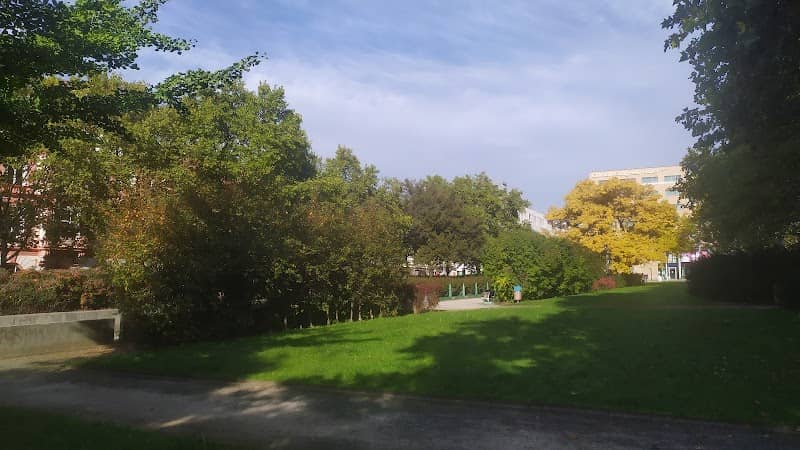 Památný strom - Image 1