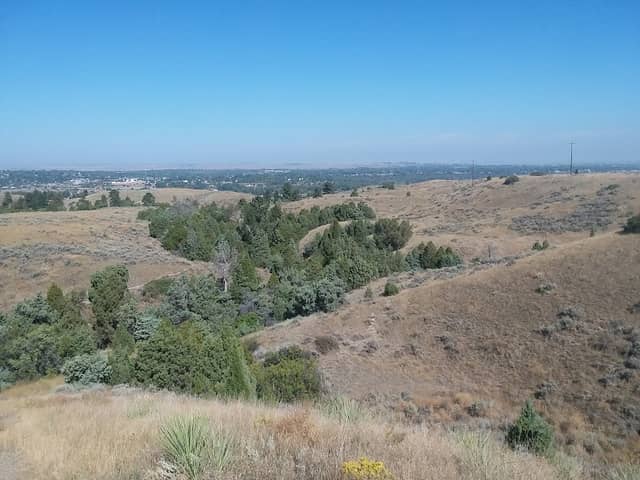 Earl Gus Park - Image 1