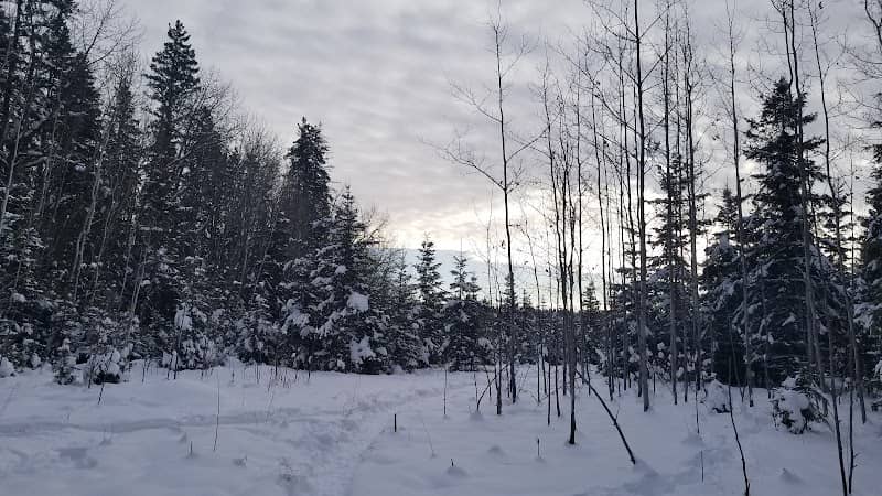Grey Nuns White Spruce Park - Image 1