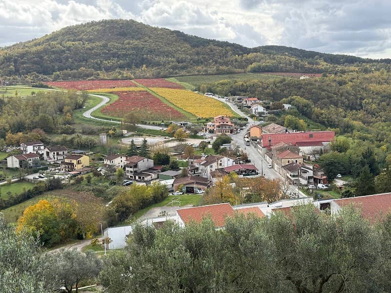 Skywalk Motovun - Image 1