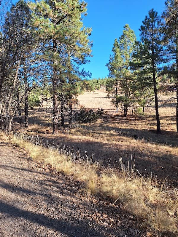 McMillan Mesa Natural Area - Image 1