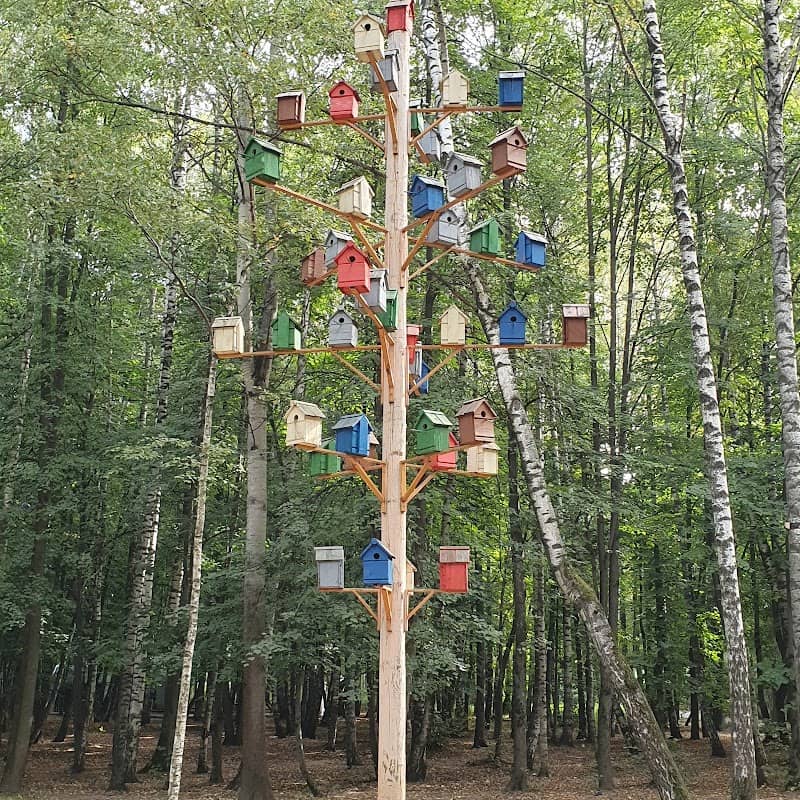 Park "Dubki" - Image 1