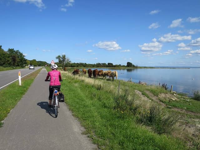 Fugletårn ved Nivå Bugt Strandenge - Image 2