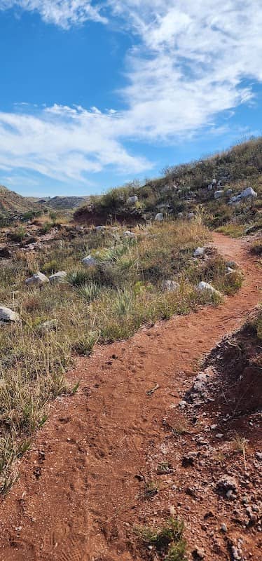 Harbor Bay Trail - Image 2