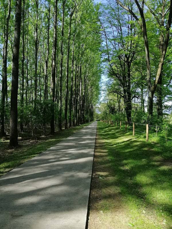 Parco del piano di Magadino - Image 1