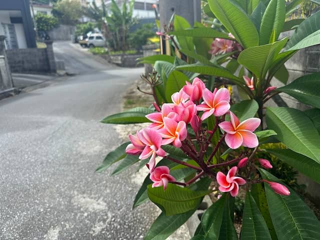 炊事場跡と飯上げの道 - Image 1