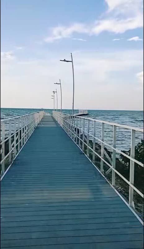Muelle la Coquerita - Image 1