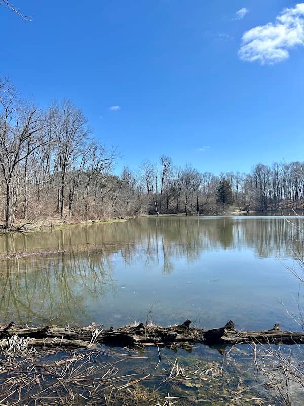 Paint Creek State Park Little Pond Trailhead - Image 1