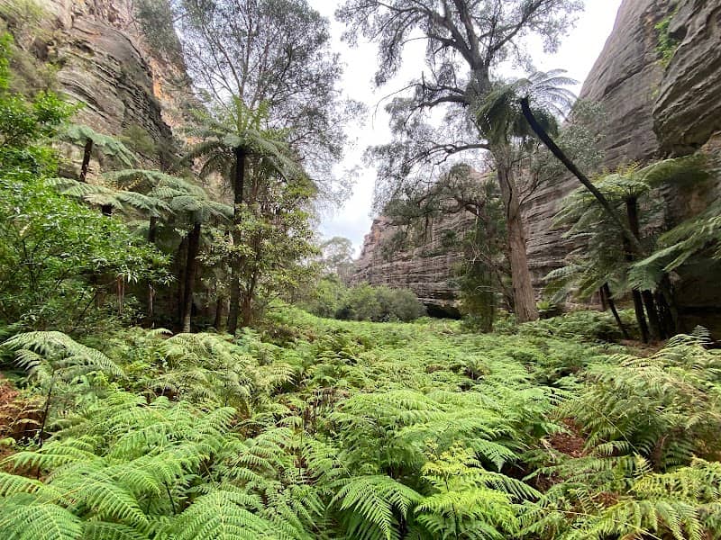 Valley of the Dinosaurs - Image 2