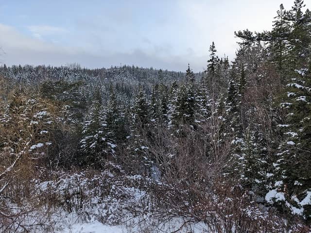 Hemlock Trail- Strait Area Community trail - Image 2