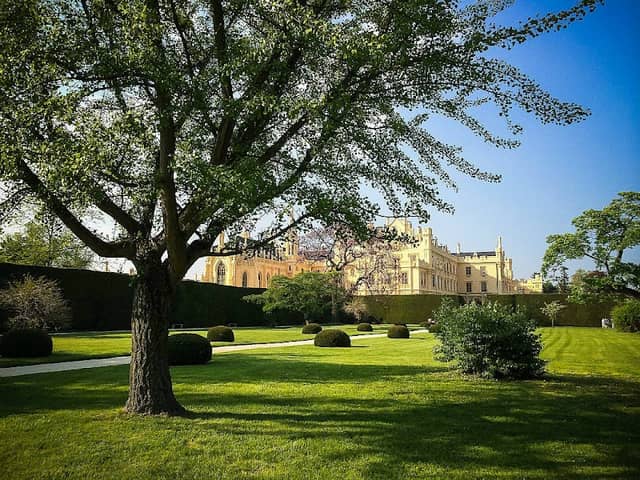 Dog park - Image 1