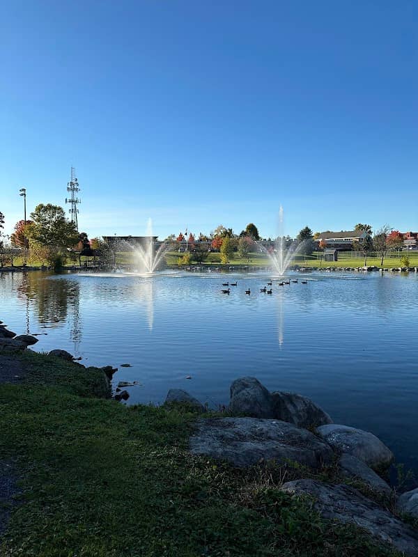 Stauffer Swan Pond - Image 2