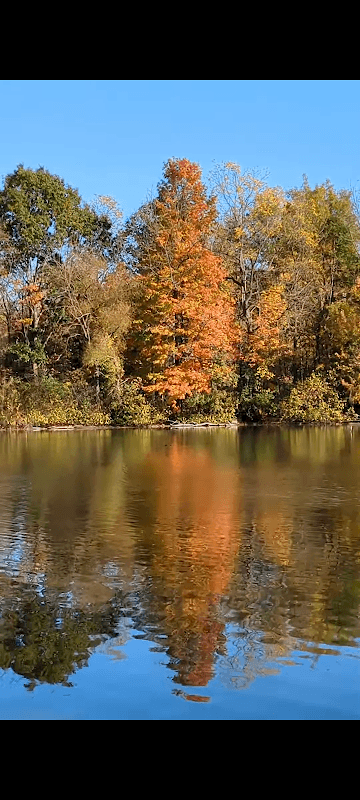 Wilson Park - Image 1