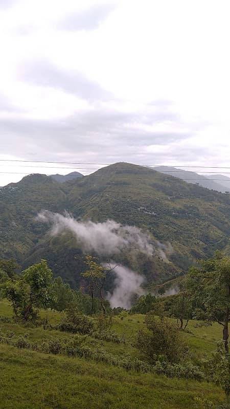 Basoli village Ramnagar Road - Image 1