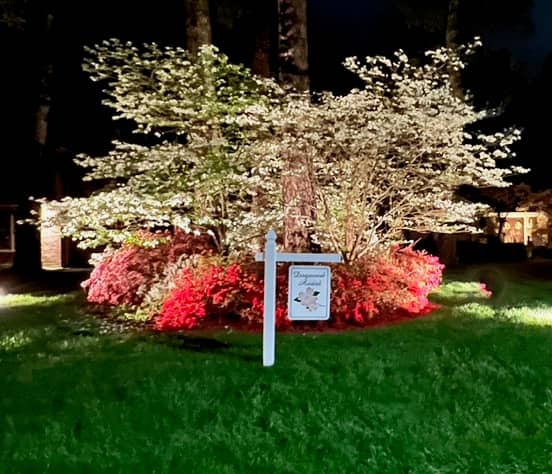 Dogwood Trail - Paducah KY - Image 2