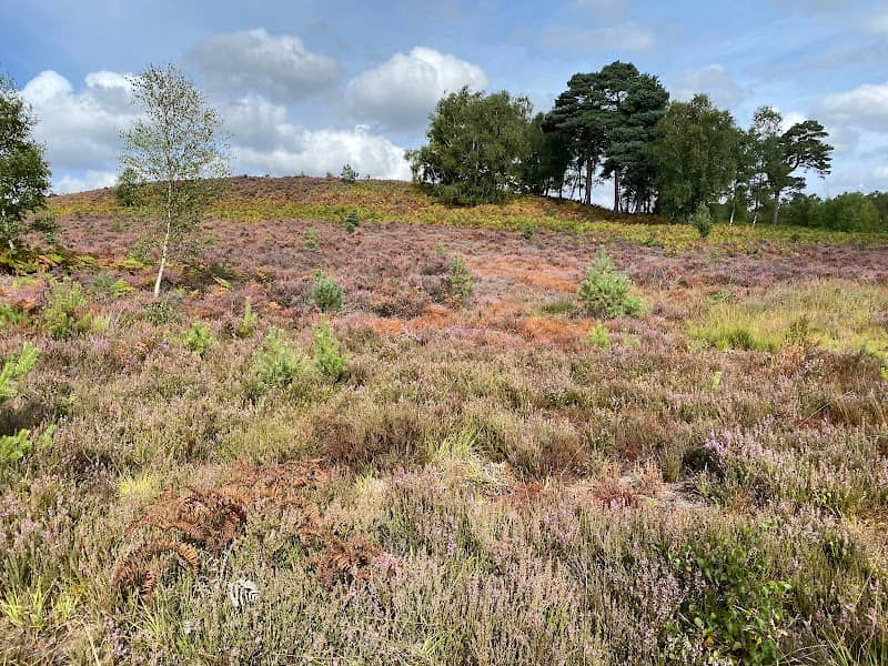 Ash Ranges - Image 2