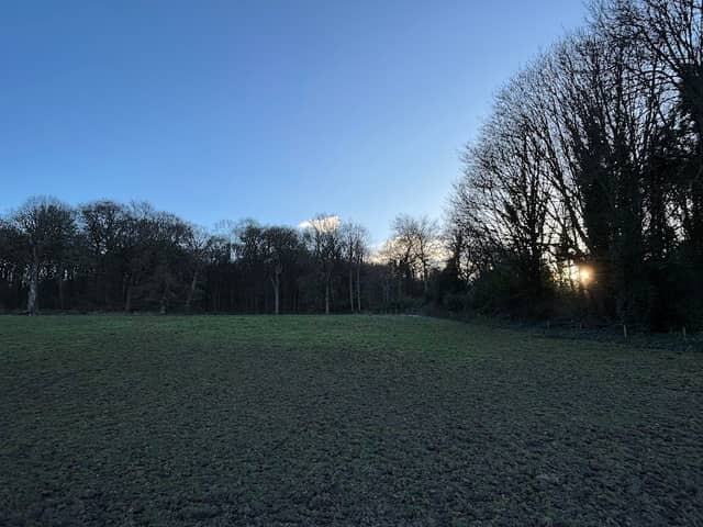 Jordan Wood - Image 1