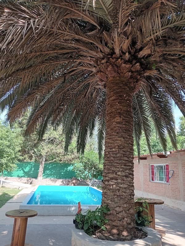 La Quinta del Rey - Image 2