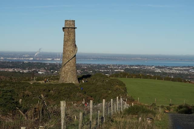 Carrickgollogan Forest Trail - Image 1