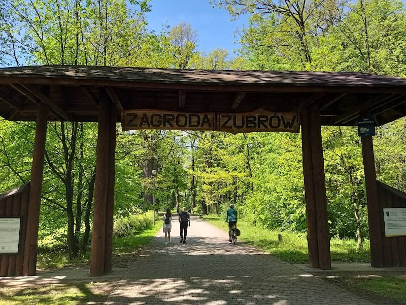 Pokazowa Zagroda Żubrów w Zabytkowym Parku Pszczyńskim - Image 1