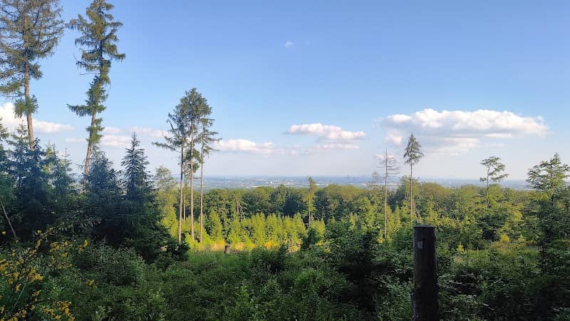 Aussichtspunkt nach Frankfurt - Image 1