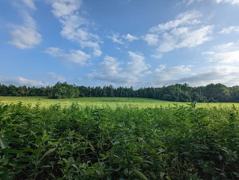 Harpeth River State Park - Gossett Tract - Image 3