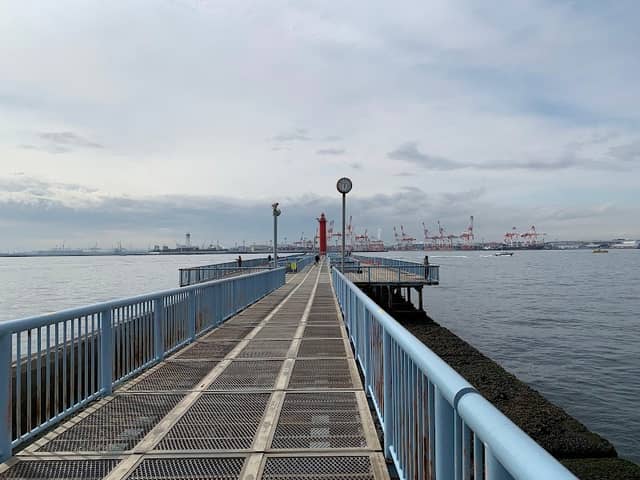 Daikoku Sea Fishing Park - Image 1