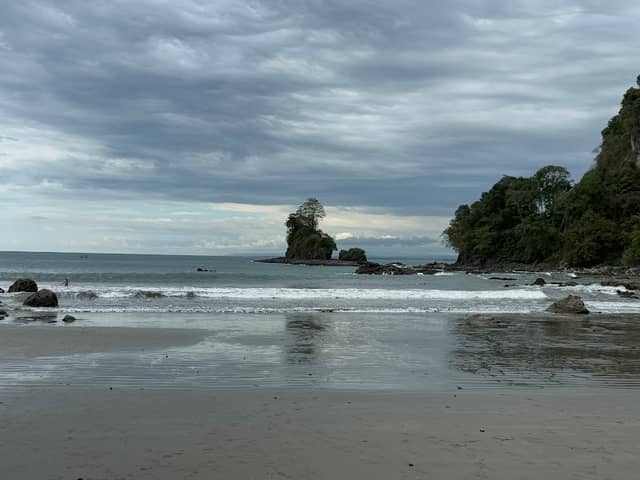 The Tarzan Tour - Image 2