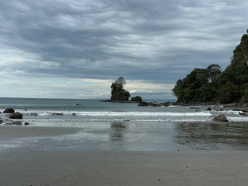 The Tarzan Tour - Image 2
