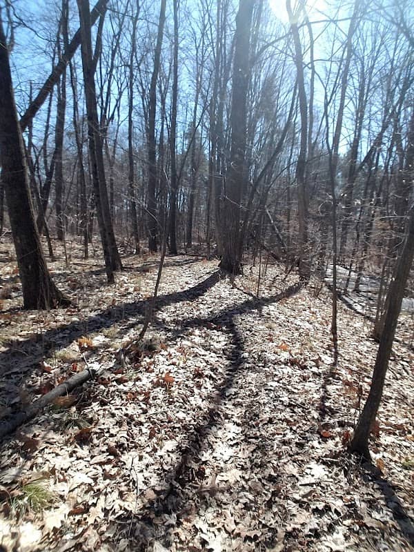 Shearer Road Bike Trail - Image 2