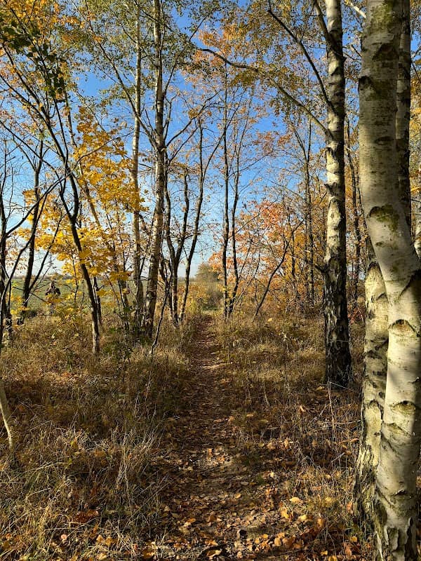 Bike Park Frohnau - Image 2