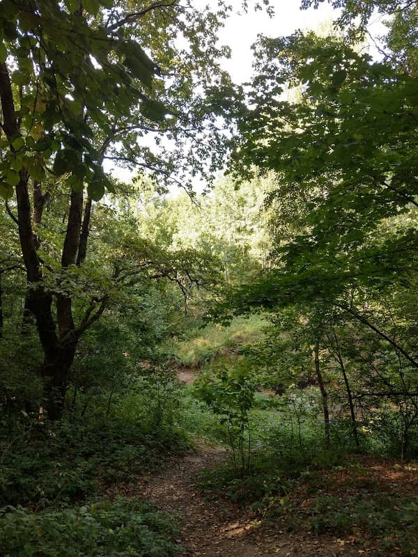 Yugo-Zapadnyy Lesopark - Image 1