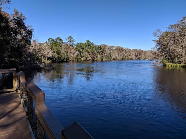 Dunns Creek Wildlife Management Area - Image 2