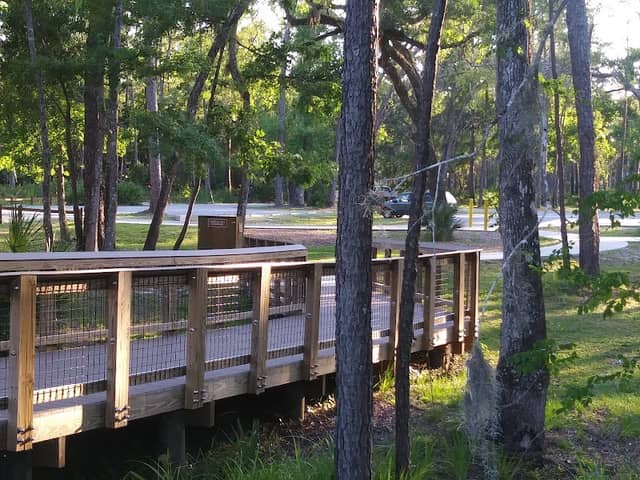 Dunns Creek Wildlife Management Area - Image 1