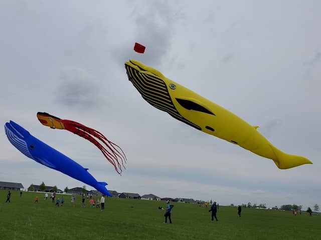 Centennial Park - Image 2